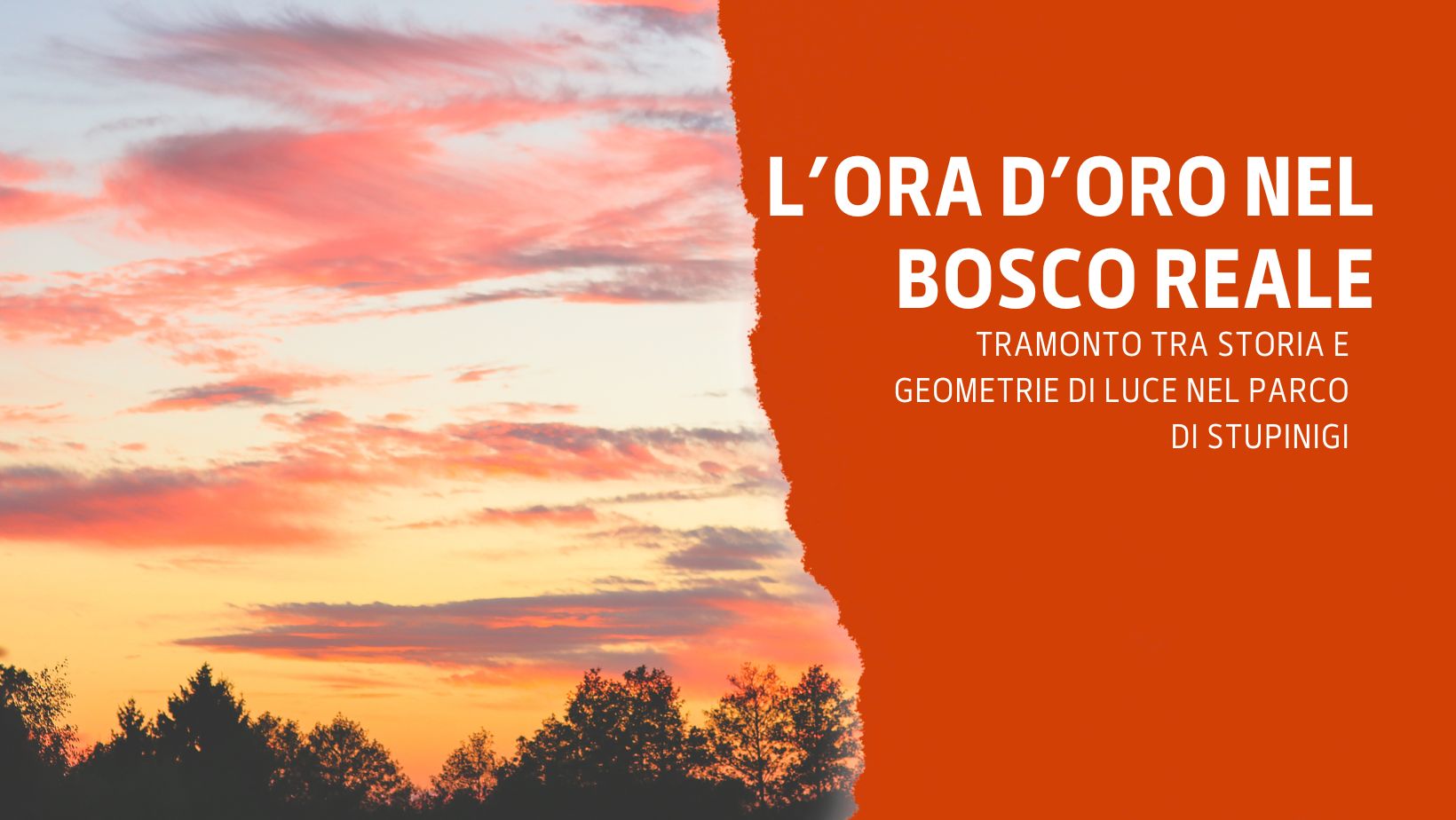 L’Ora d’Oro nel bosco Reale